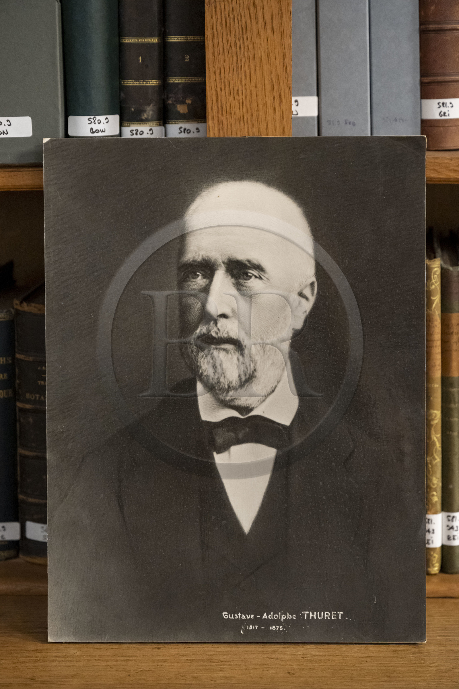 France, Alpes-Maritimes (06), Antibes, Le Jardin Botanique de la Villa Thuret (rattachée à l'INRAE), labellisé Jardin Remarquable et Arbre Remarquable, la bibliothèque, portrait du botaniste et algologue Gustave Thuret