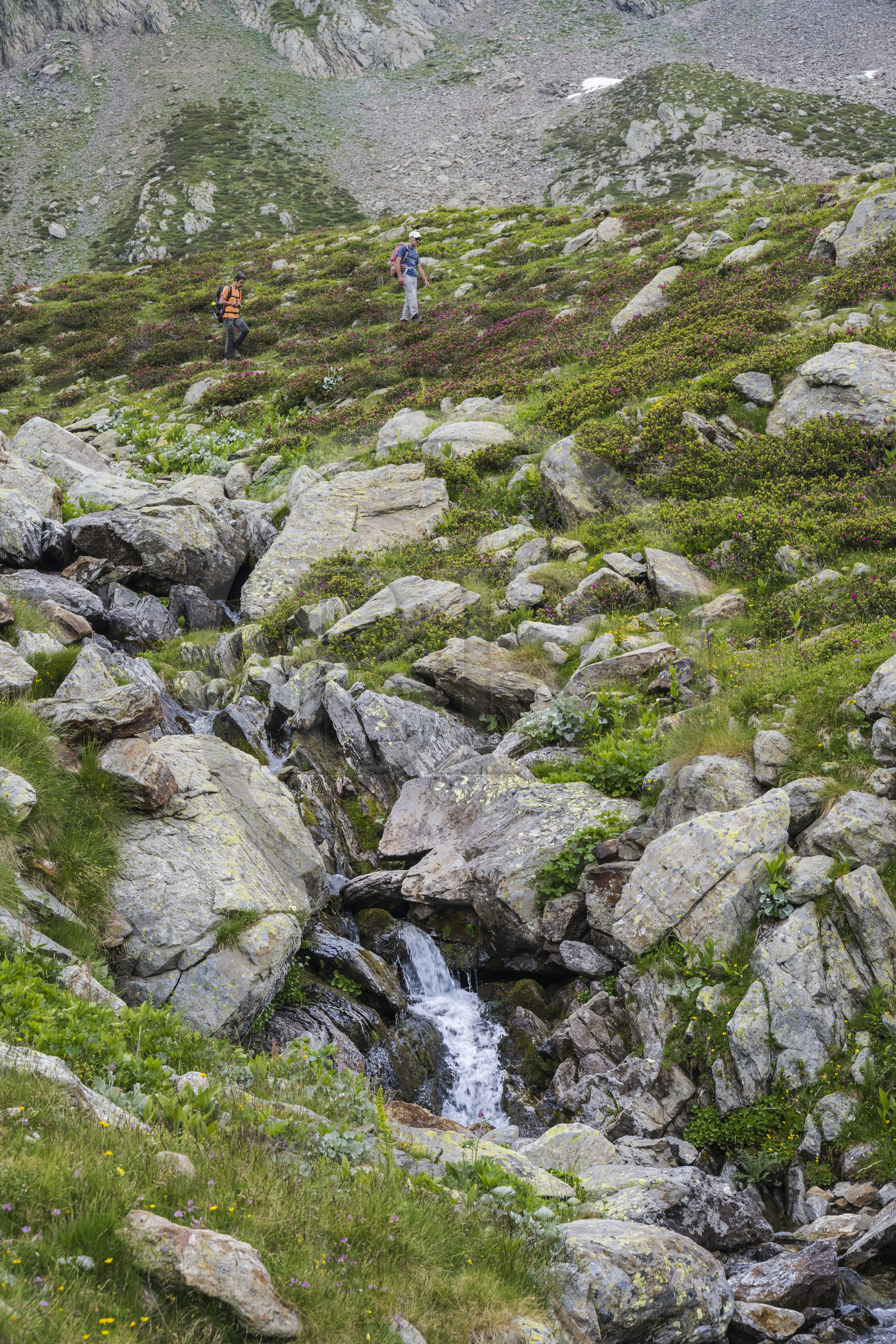 France, Alpes-Maritimes (06), parc national du Mercantour, Haute-Vésubie, Saint-Martin-Vésubie, Val du Haut Boréon, randonneurs traversant une rivière sur le sentier allant au col du Pas des Ladres