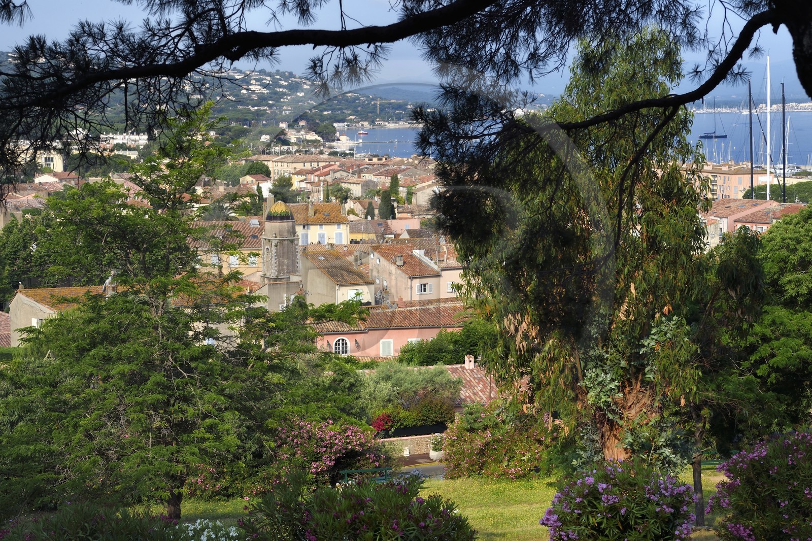 France, Var (83), Saint-Tropez, clocher de la chapelle de la Miséricorde qui émerge de la vieille ville
