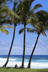 France, île de la Réunion, la côte sud, plage de Grand-Anse