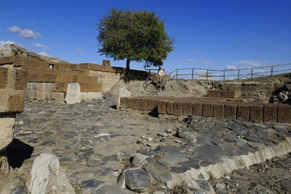 Italy, Lazio, Province of Viterbo, Montalto di Castro, ancient Etruscan city of Vulci, the remains of the ancient city and its walls