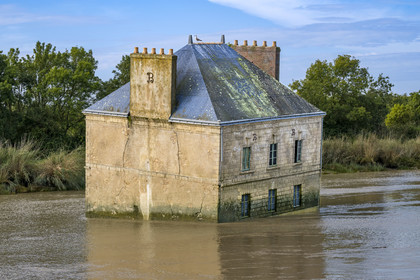 France, Loire Atlantique, Coueron, open-air contemporary art collection Estuaire, La Maison dans la Loire (The House in the Loire river) created by the artist Jean-Luc Courcoult