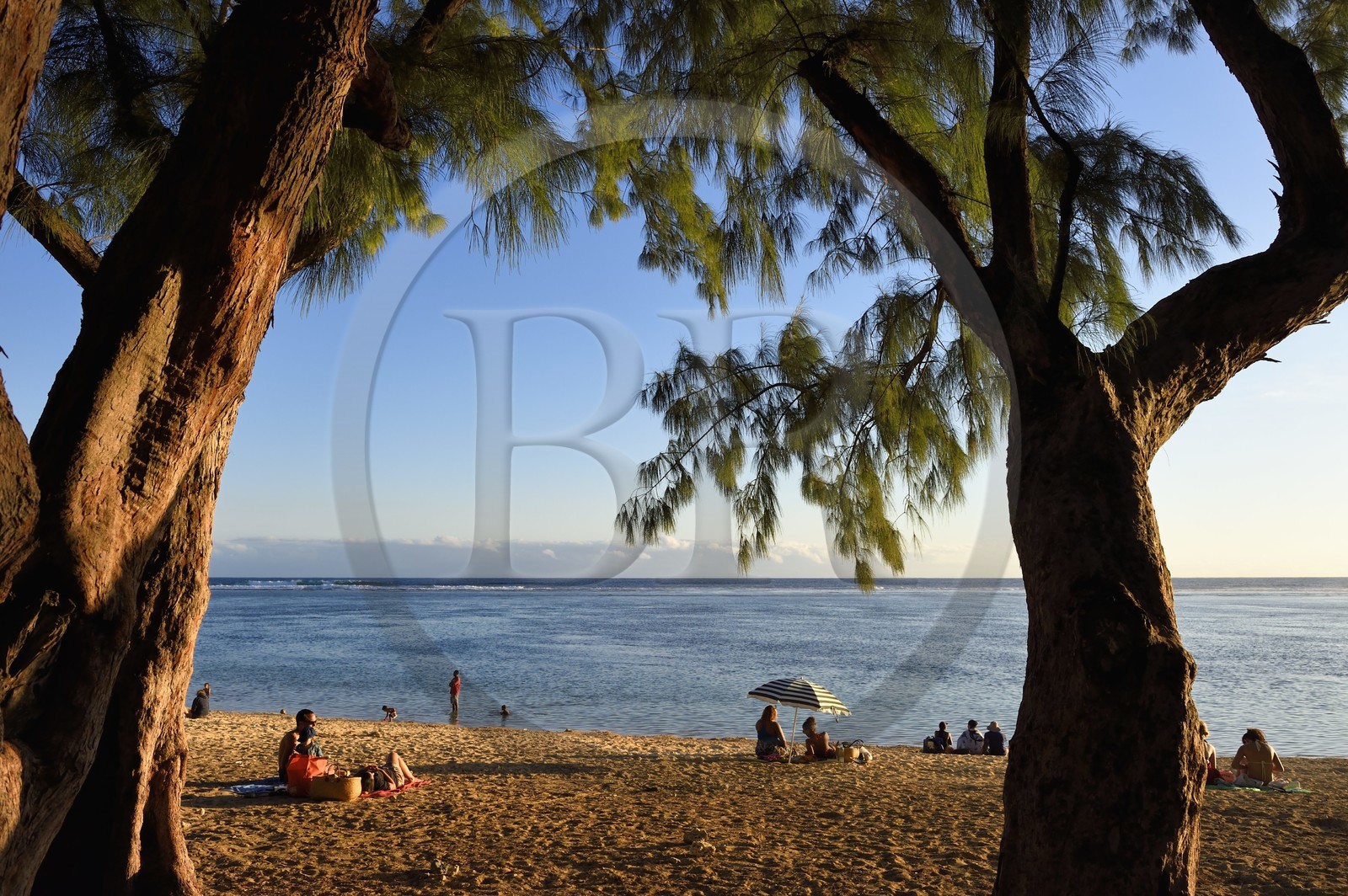 France, île de la Réunion, la Cote Ouest, plage du lagon de Saint-Gilles-Les-Bains à l'Ermitage-les-Bains, à l'ombre des filaos