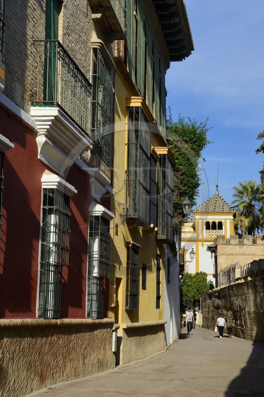 Spain, Andalusia, Seville, Calle Agua or water lane is the geographical heart of the Santa Cruz district and was so named because it ran along an aqueduct still in use that ensured the water supply of the Alcazar