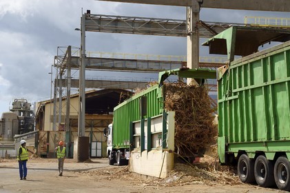 France, Reunion island (French overseas department), Saint-Louis, Le Gol sugar factory, unloading the  sugar cane from trucks or trailers called localy cachalot