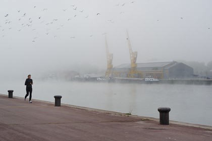 France, Seine Maritime, Rouen, the former docks on the Seine banks, the cranes under mist