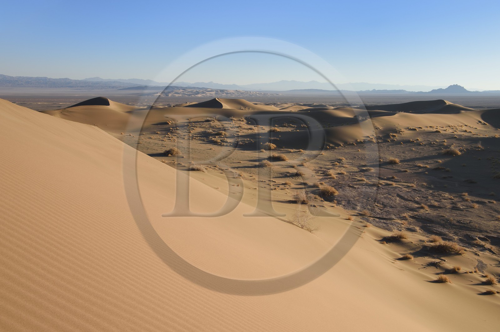Iran, Province de Yazd, désert du Dasht-e Kavir, Moghestan, massif dunaire dont la plus haute dune atteint les 200 mètres