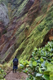 Caribbean, Dominica Island, Castle Bruce, Morne Trois Pitons National Park listed as World heritage by UNESCO, Valley of Desolation, hike on the trail to Boiling Lake