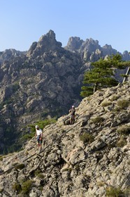 France, Corse-du-Sud (2A), Alta Rocca, la via ferrata du parc aventure Corsica Madness, les Aiguilles de Bavella en arrière plan