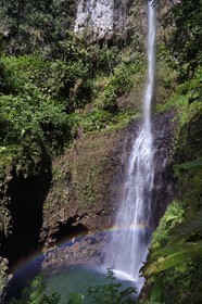 Caribbean, Dominica Island, Morne Trois Pitons National Park listed as World heritage by UNESCO, hiker at Middleham Falls on the Waitukubuli hiking trail that crosses the island