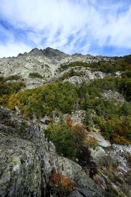 France, Haute Corse, Vivario, hiking on the GR 20, between Onda refuge and Vizzavona, Vizzavona forest, Englishmen cascades, waterfalls group in the Agnone valley under the Monte d'Oro